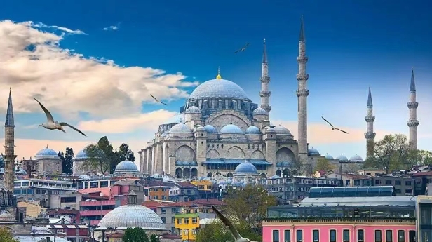 从海关数据看，土耳其进口中国最多的产品有哪些？